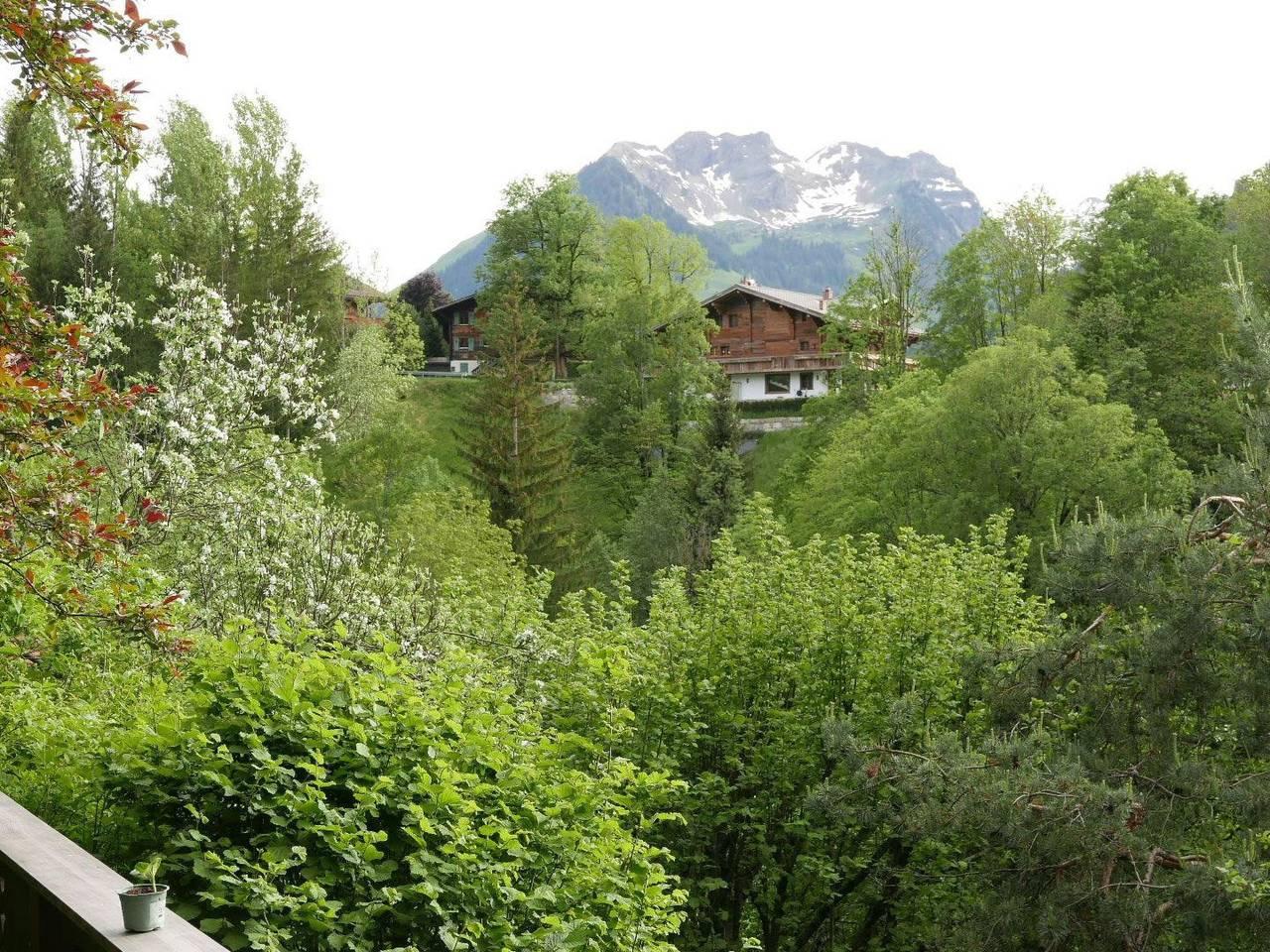 Vakantieappartement in Saanen, Zwitserland voor 9 personen foto 13