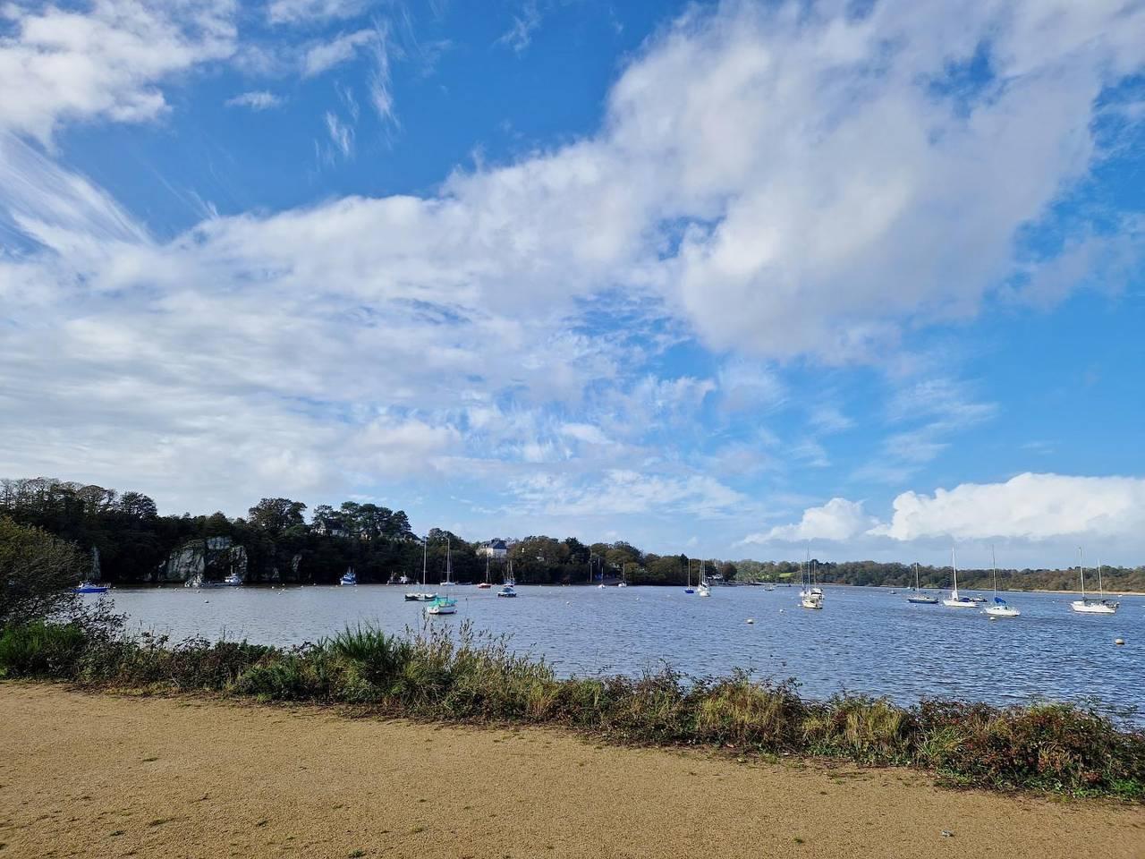 Visnonia in Arzal, Côte des Mégalithes, Frankrijk voor 6 personen foto 19