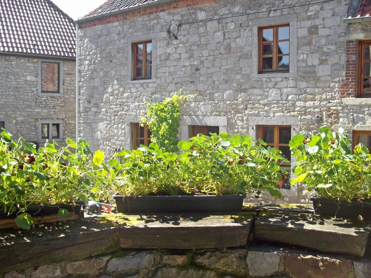 La Bastide in Florennes, België voor 7 personen foto 19