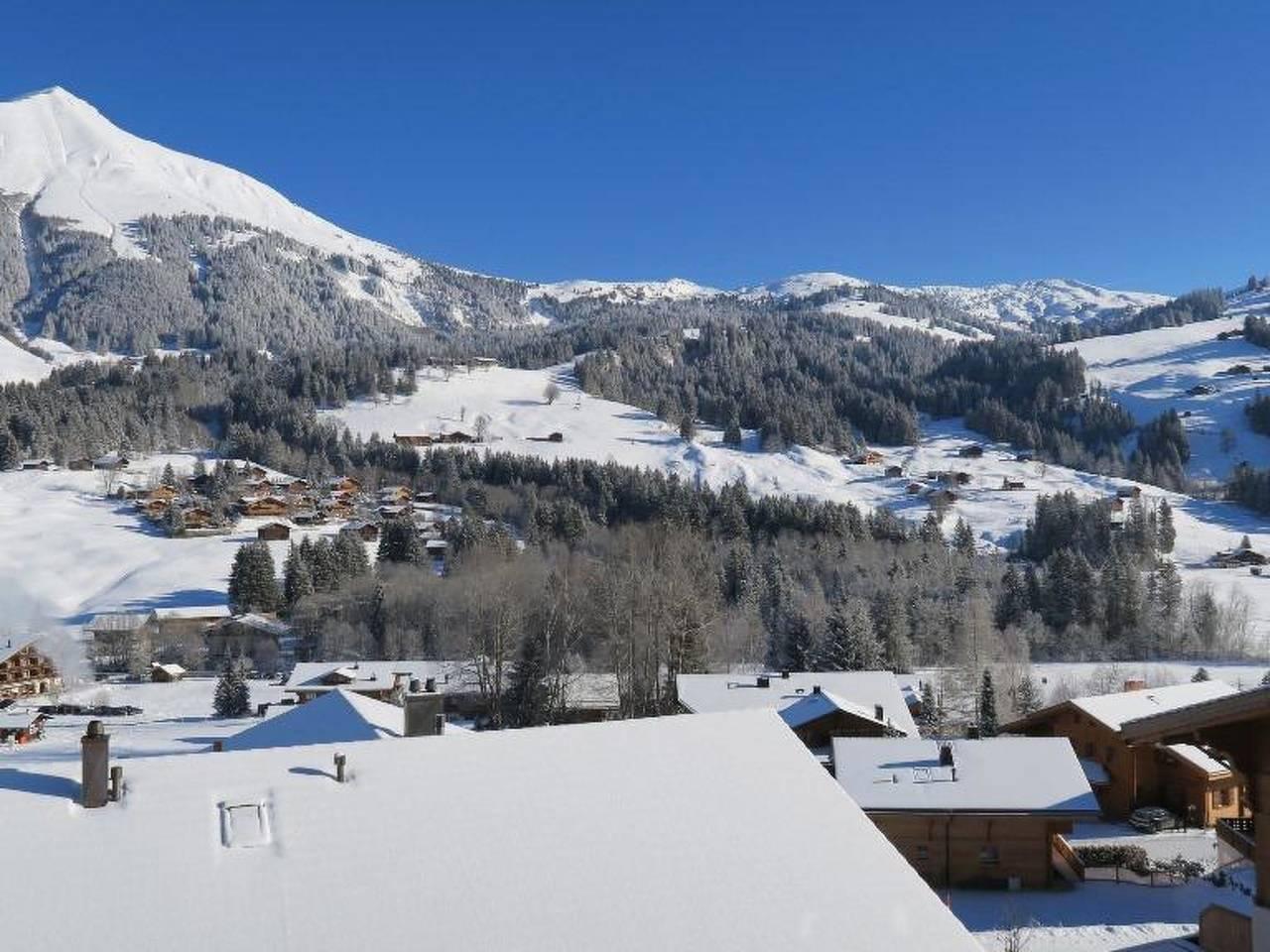 Vakantieappartement in Lauenen, Zwitserland voor 4 personen foto 5