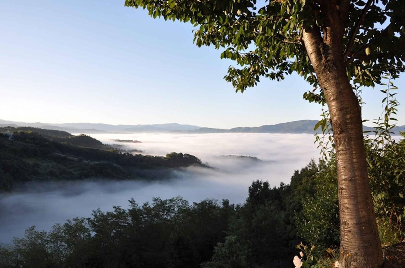 Vakantiehuis in Vicchio, Italië voor 2 personen foto 18