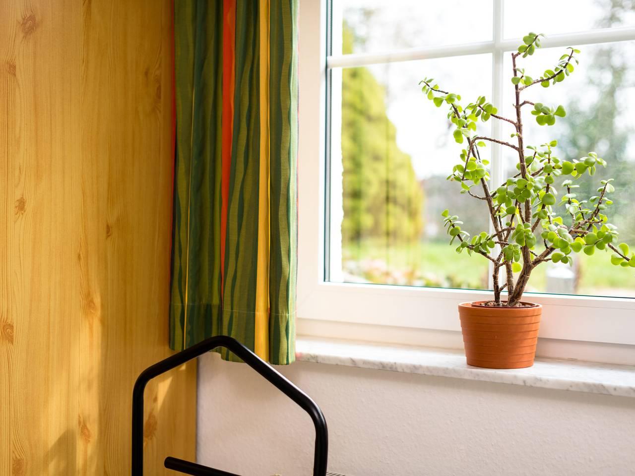Vakantieappartement in Ahrtal, Duitsland voor 3 personen foto 16