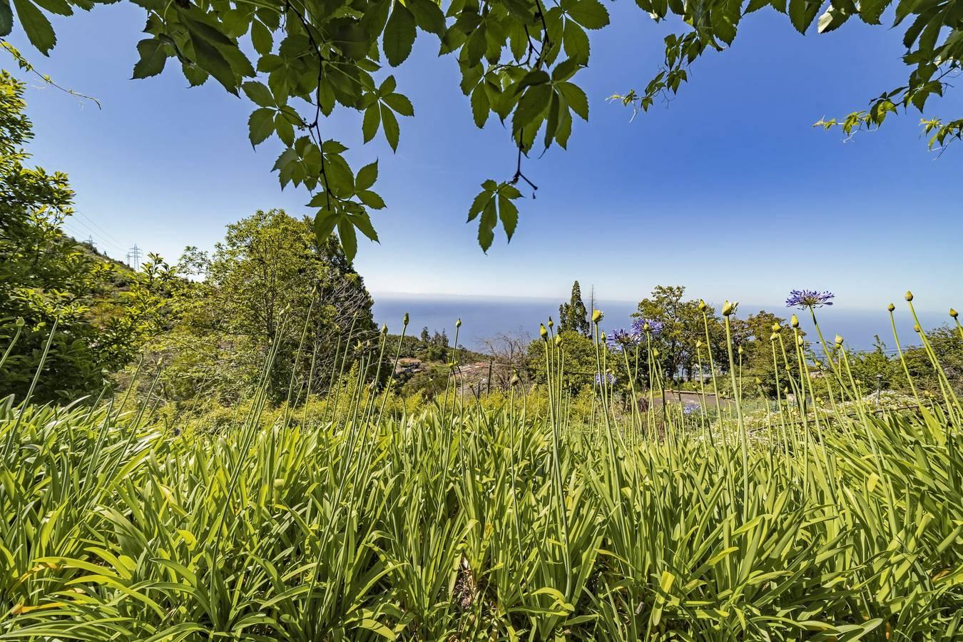 Vakantiehuis in Funchal foto 15