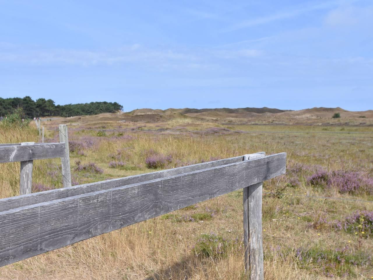 Vakantiehuis in Texel, Nederland voor 4 personen foto 15