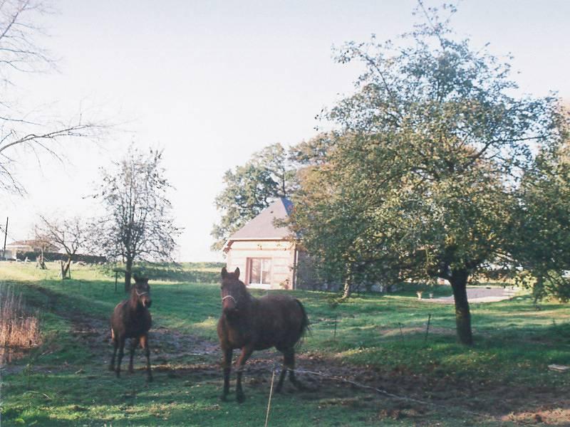 Gîtes de France® - L'Ecluse in Criquetot-l'Esneval, Frankrijk voor 4 personen foto 23