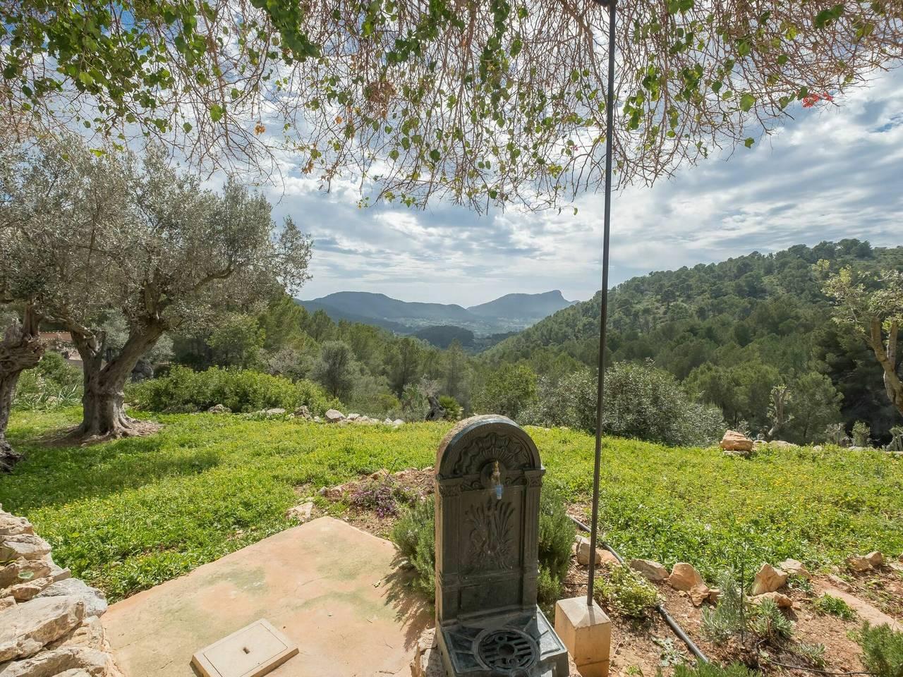 Vakantiehuis in Andratx, Spanje voor 4 personen foto 13