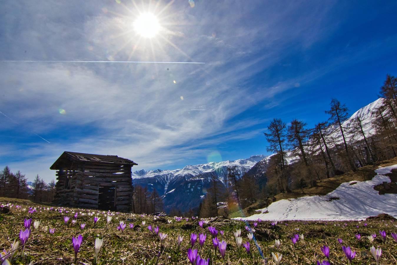 Vakantieappartement in Oost-Tirol, Oostenrijk voor 3 personen foto 16