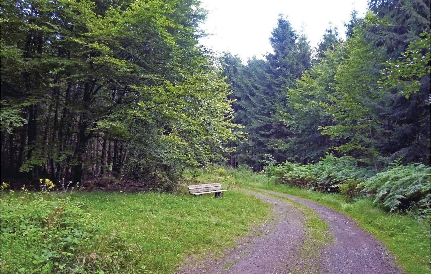 Gezellig appartement met tuin en parkeerplaats, 1.5km in Meisburg, Vulkaan-Eifel, Duitsland voor 4 personen foto 22