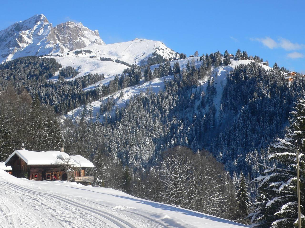 Vakantieappartement in Alpes Vaudoises, Zwitserland voor 4 personen foto 18