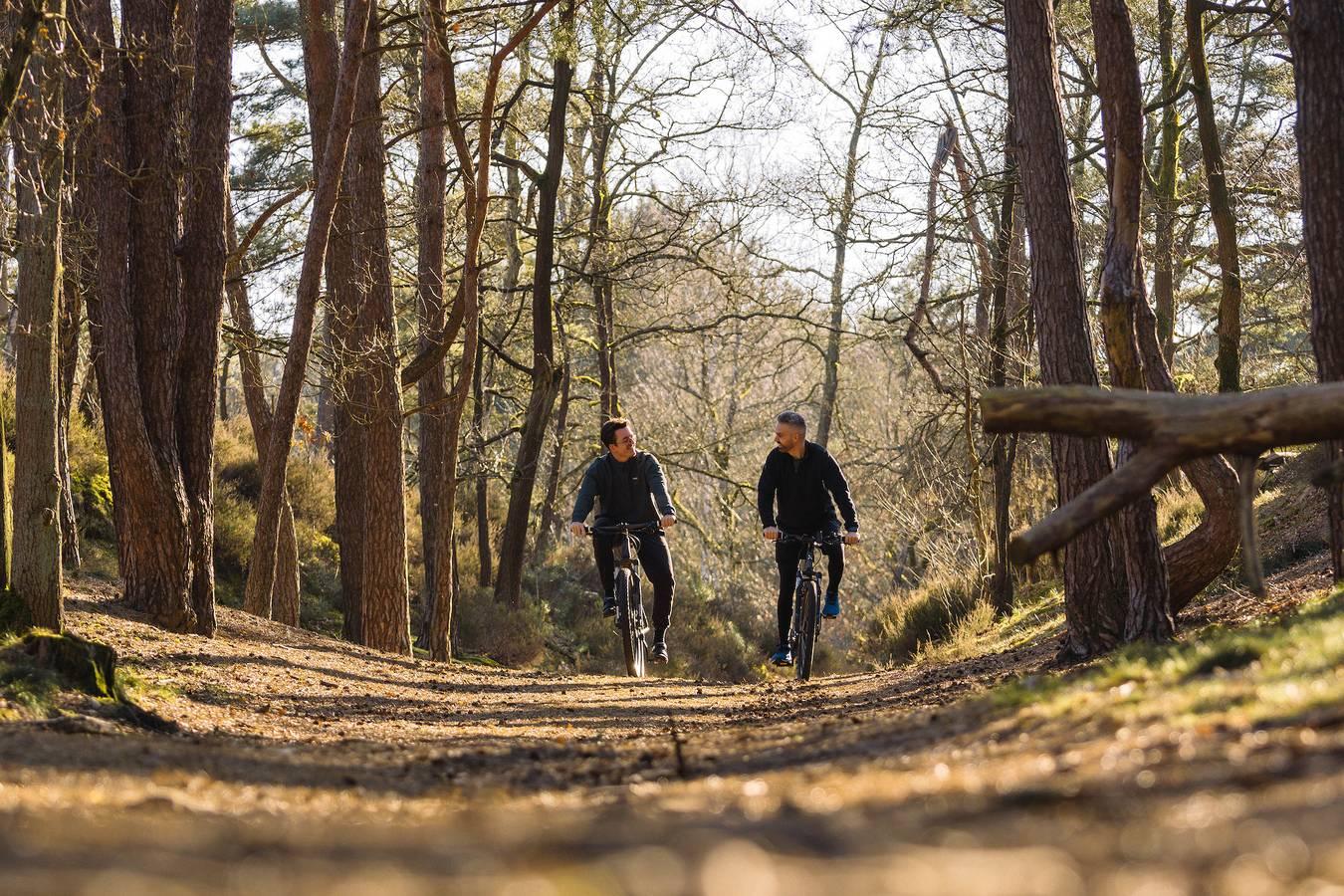 Woodz Lodges — Lodge in Heusden-Zolder, België voor 6 personen foto 22
