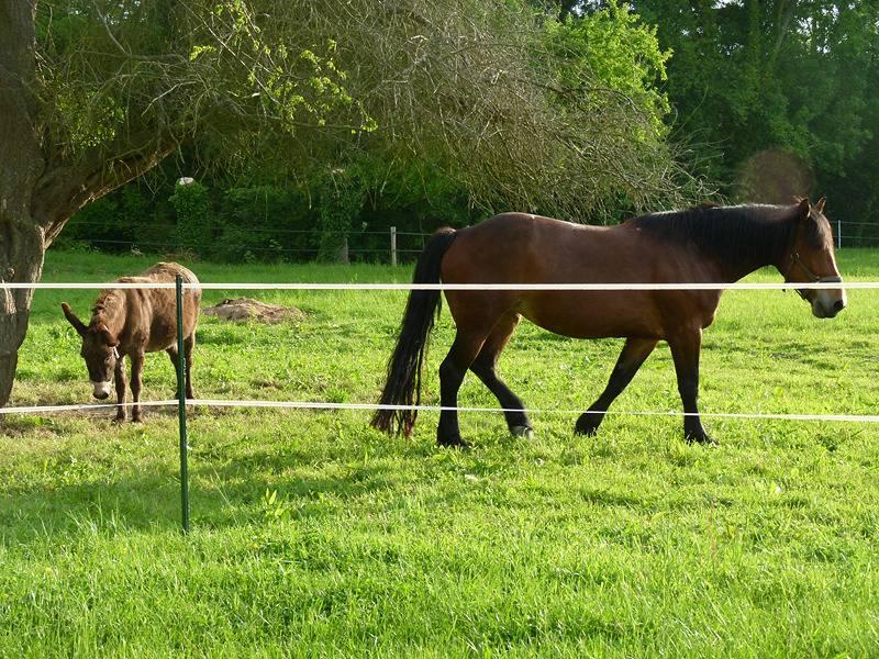Vakantiehuis in Seine-Maritime, Frankrijk voor 4 personen foto 15