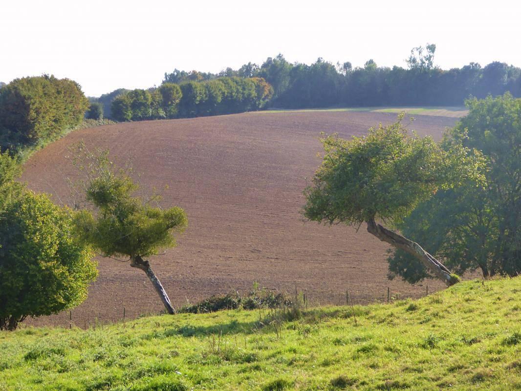 Gîtes de France® - Le Fournil in Campneuseville, Frankrijk voor 4 personen foto 20