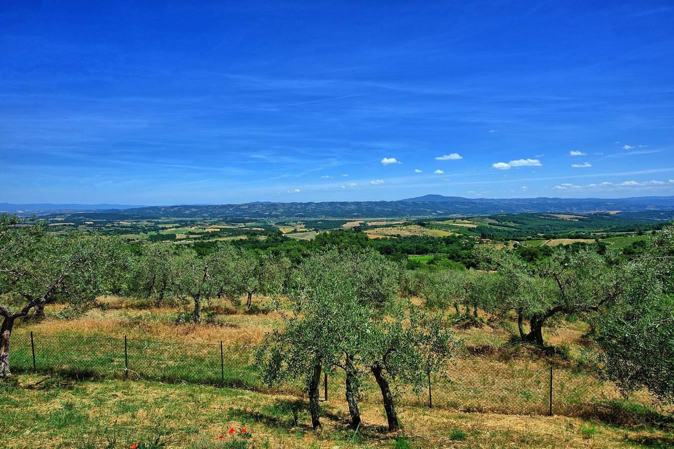 Vakantiehuis in Tuscia, Italië voor 6 personen foto 13