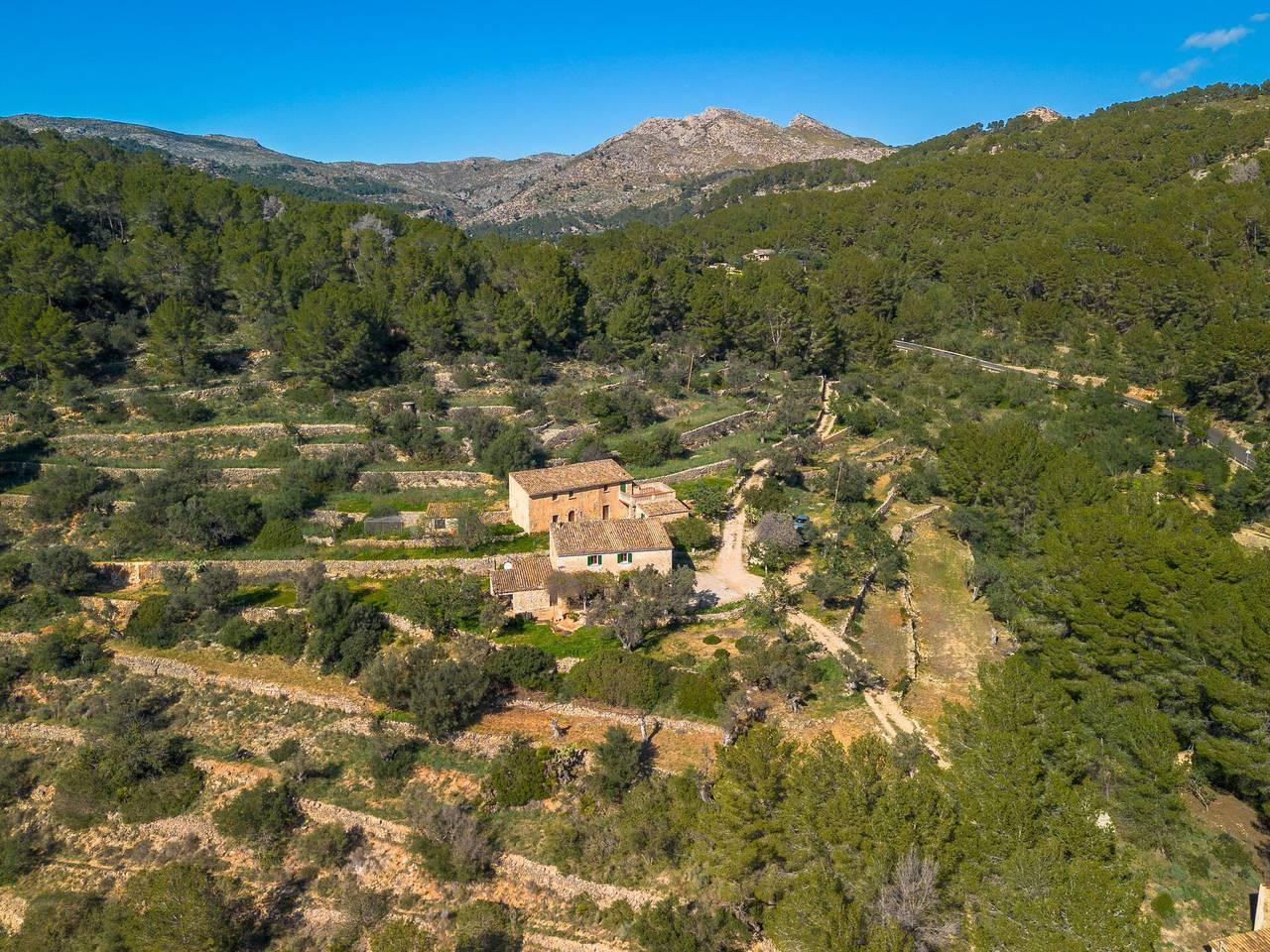 Can Tiona - Can Tiona 400.1 in Andratx, West-Mallorca, Spanje voor 4 personen foto 20