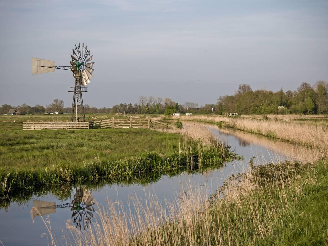 Bungalowpark It Wiid in Waddenzee, Nederland voor 8 personen foto 23
