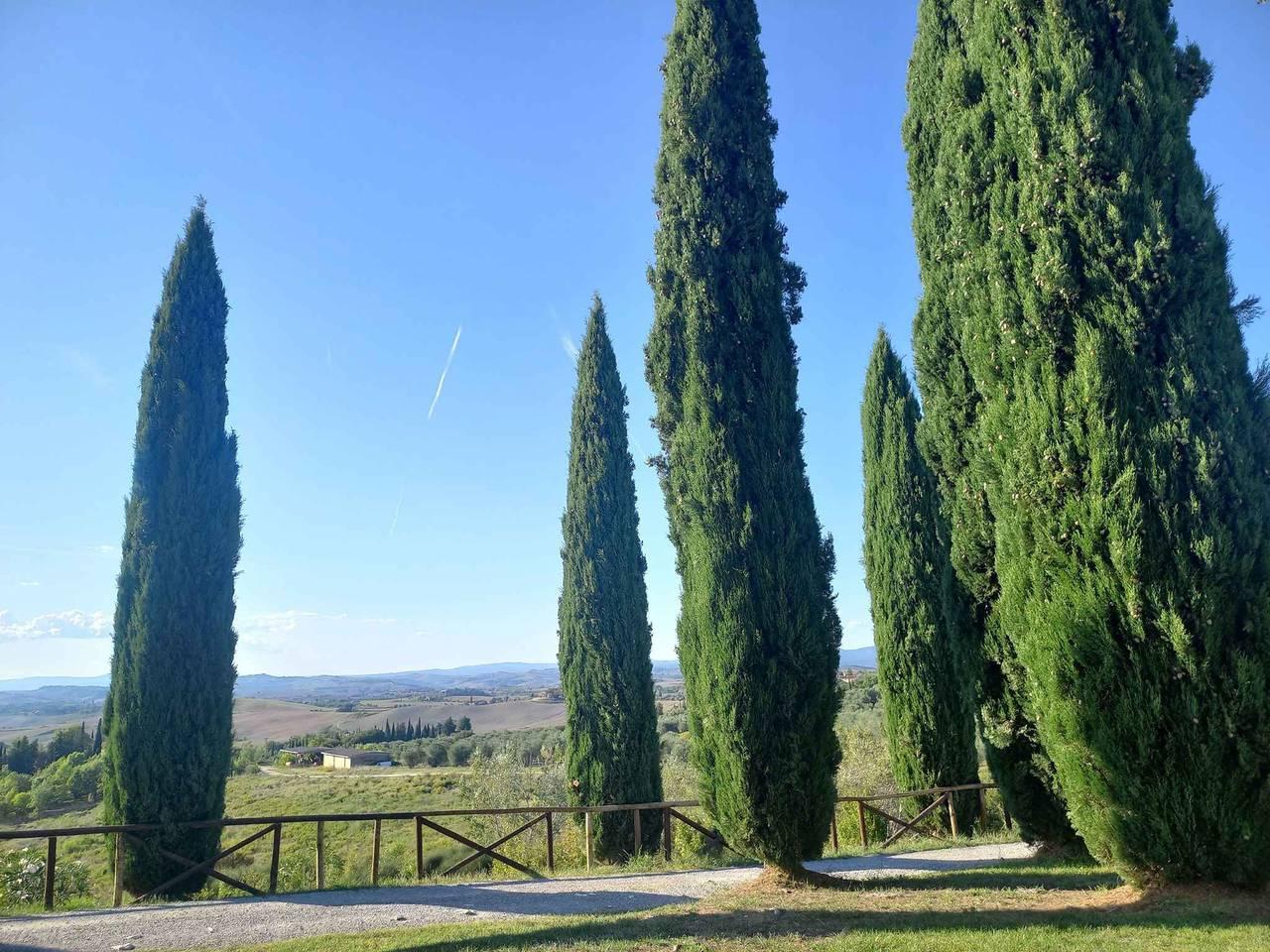 Vakantieappartement in Asciano, Italië voor 4 personen foto 8