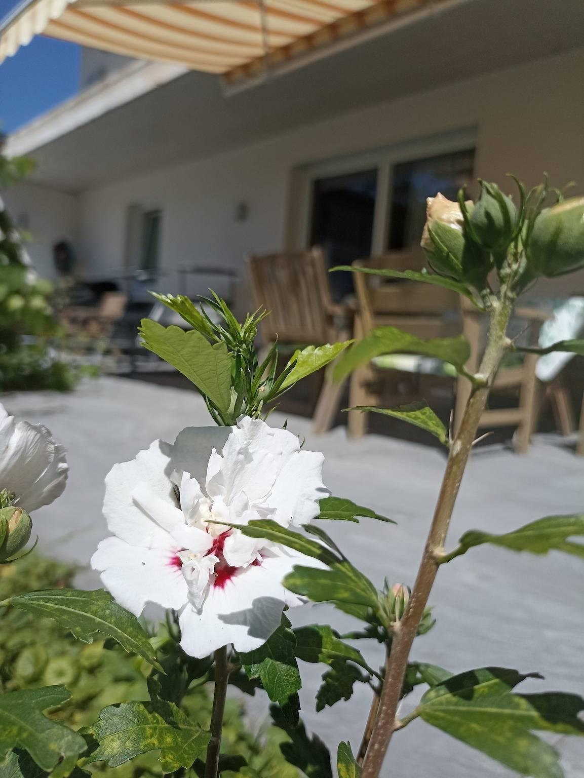 Vakantieappartement in Fügen, Oostenrijk voor 5 personen foto 17