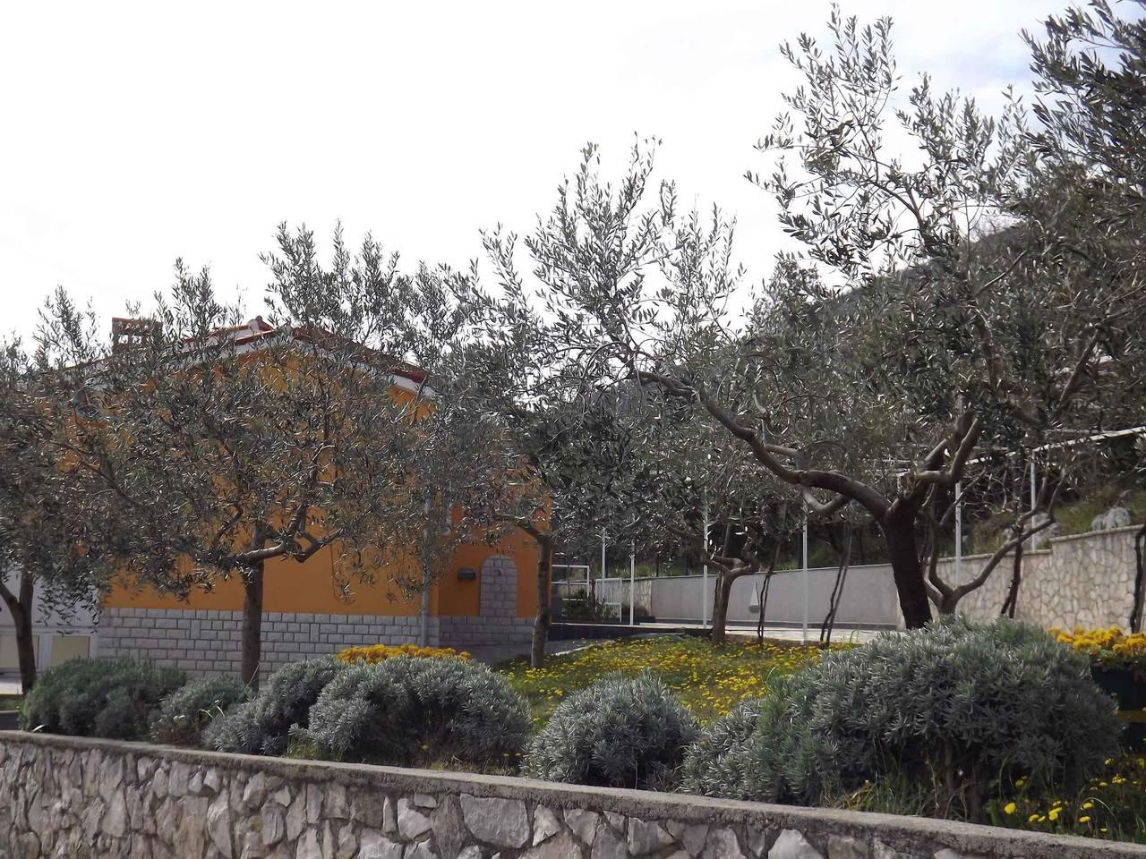 Vakantieappartement in Raša, Kroatië voor 4 personen foto 4