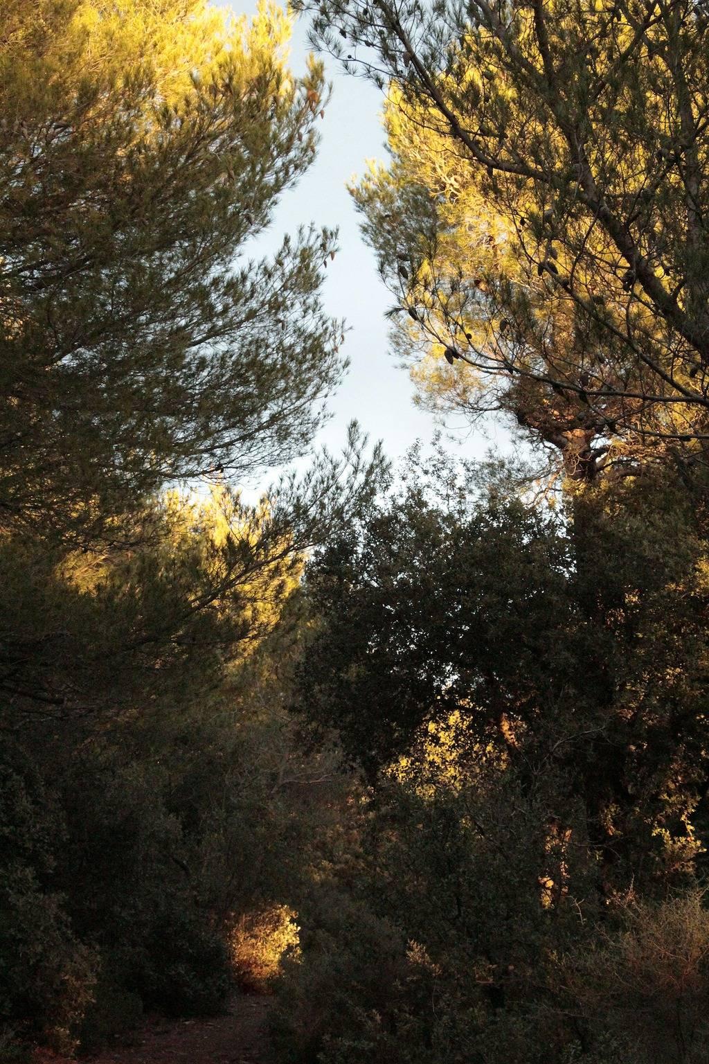 Vakantieappartement in Provence, Frankrijk voor 8 personen foto 17