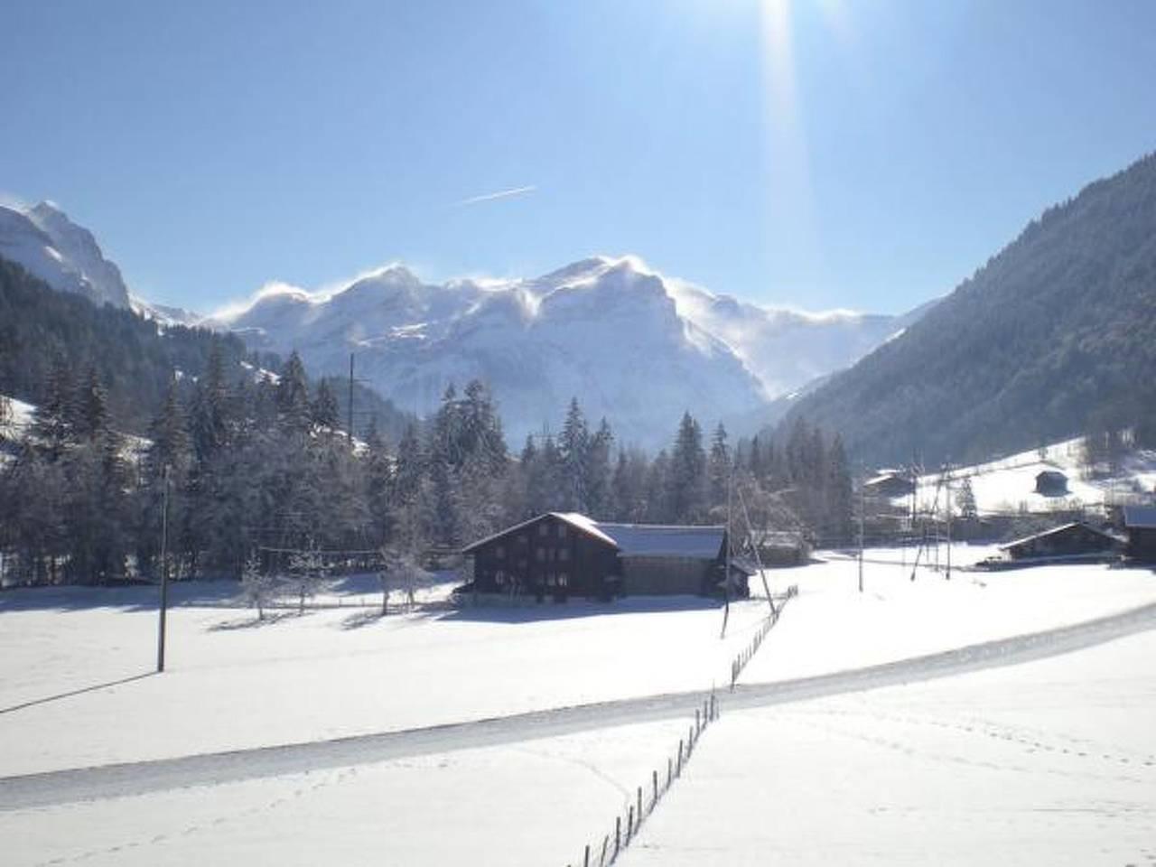 Vakantieappartement in Saanen, Zwitserland voor 4 personen foto 6