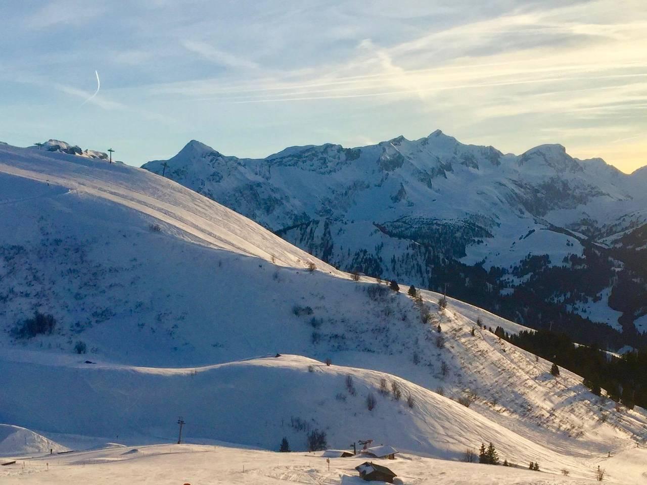 Vakantieappartement in Lenk, Zwitserland voor 3 personen foto 12