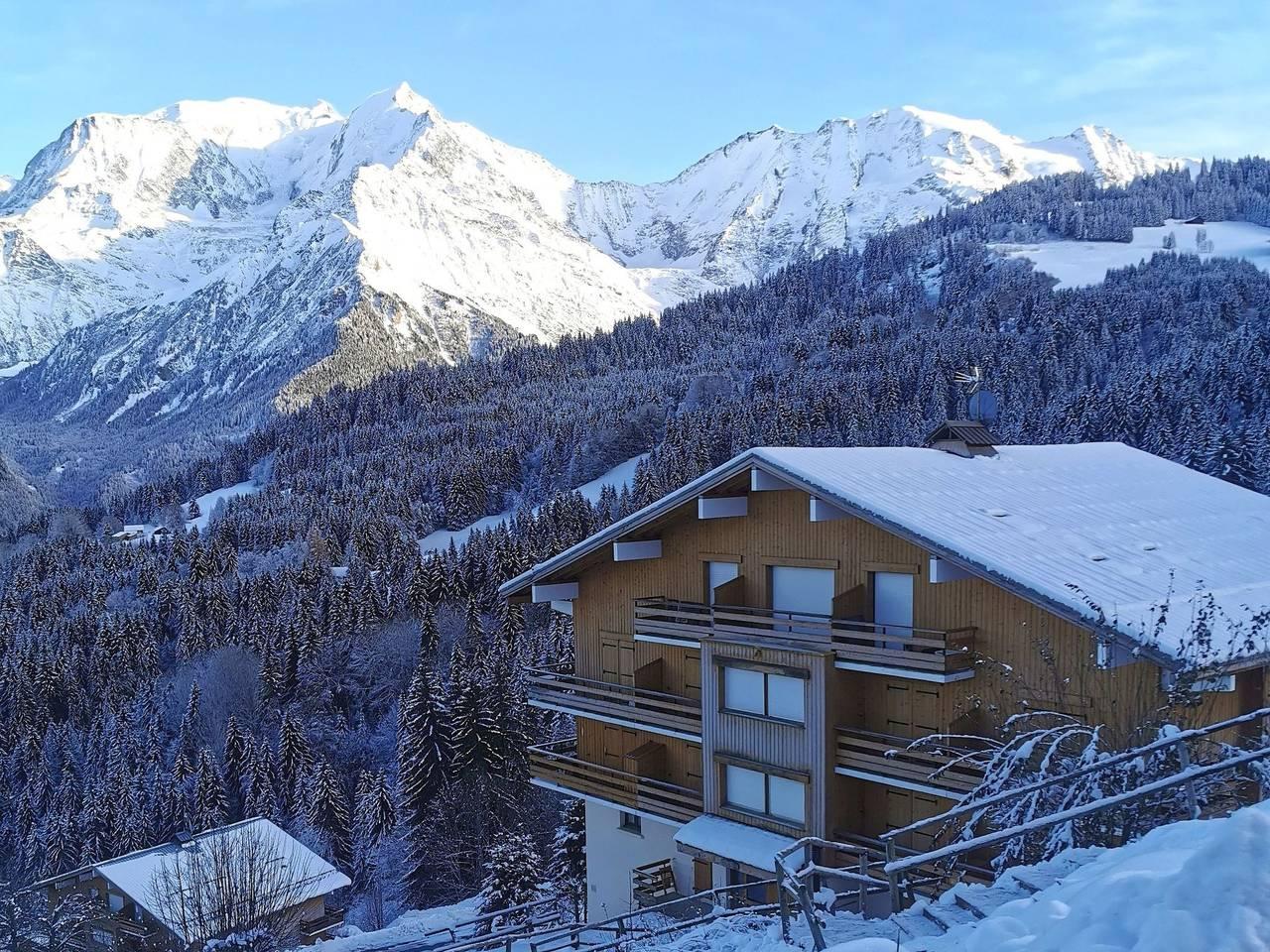Vakantieappartement met hond toegestaan in Saint-Gervais-les-Bains, Pays du Mont-Blanc, Frankrijk voor 4 personen foto 20