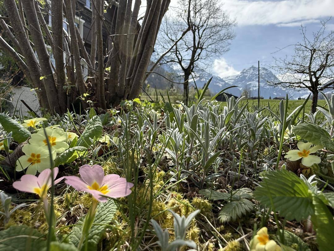 Vakantiehuis in Linthal (Glarnerland, Glarus Süd, Zwitserland voor 6 personen foto 24