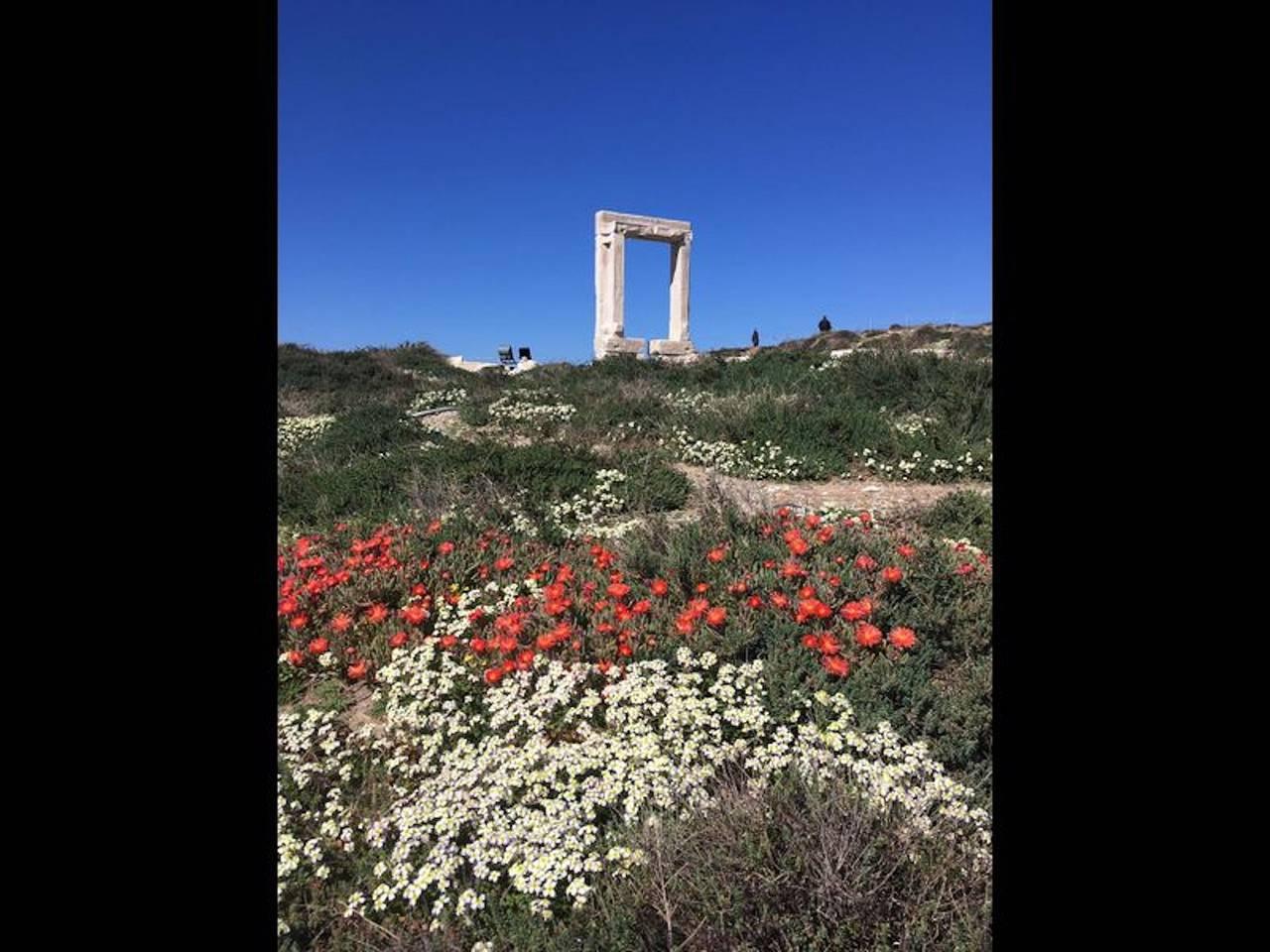 Vakantieappartement in Naxos, Griekenland voor 2 personen foto 9