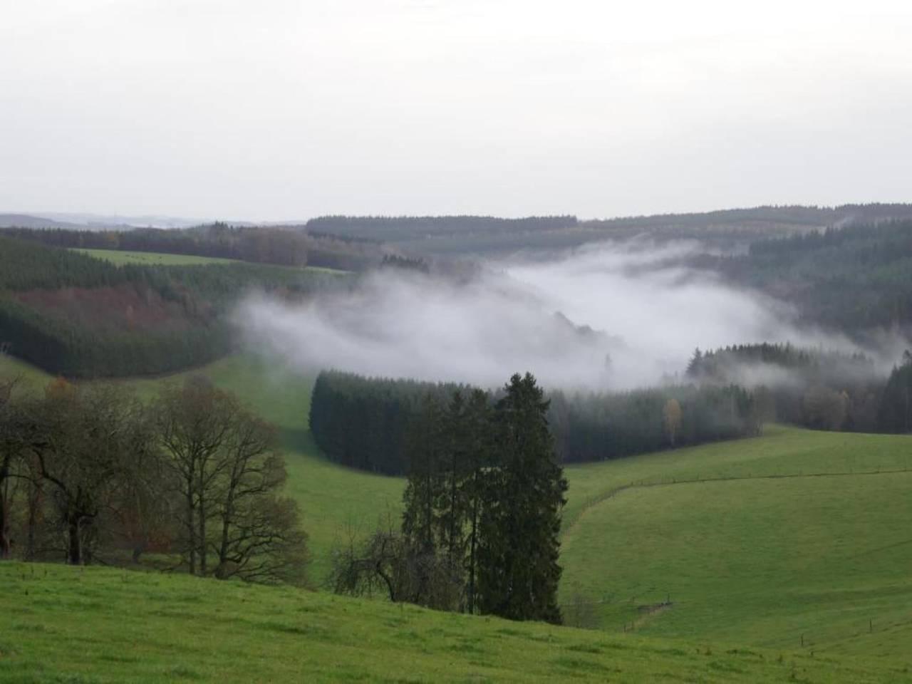 Vakantiehuis in Houffalize bij Nisramont in Houffalize, Bastenaken, België voor 6 personen foto 24