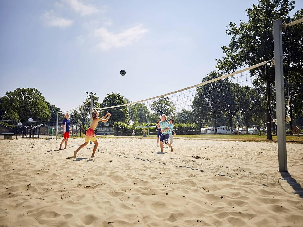 Boerderij in Limburg met Zwemparadijs in Limburg, Nederland voor 7 personen foto 22