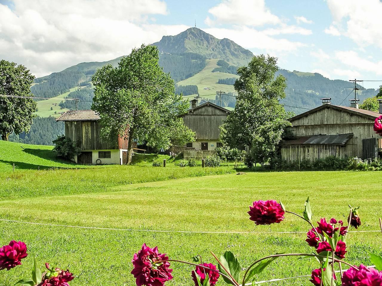 Vakantiehuis in Kaisergebirge, Oostenrijk voor 11 personen foto 5