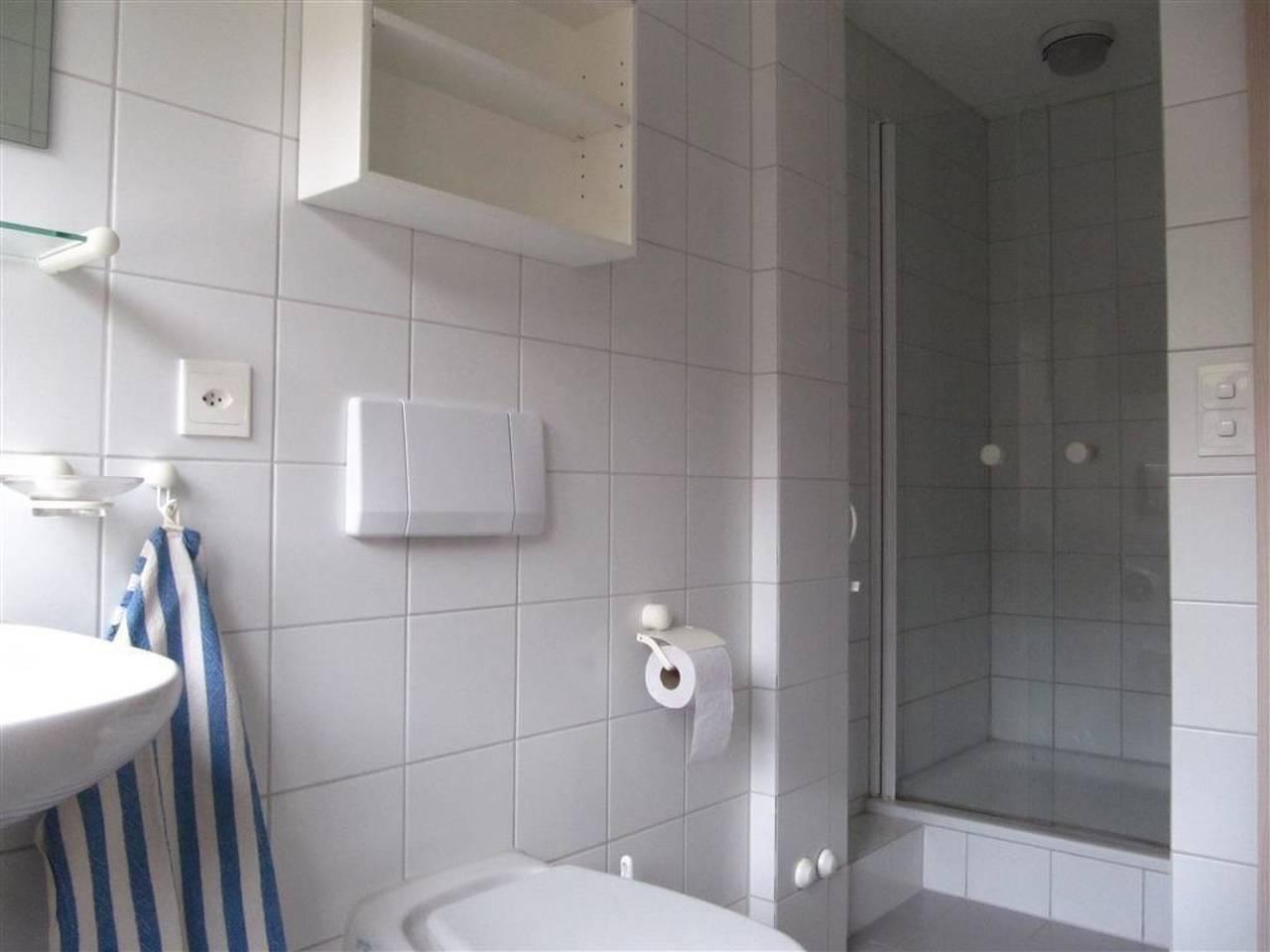 Monique Nr. 1 in Saanenmöser, Saanen, Zwitserland voor 4 personen foto 20