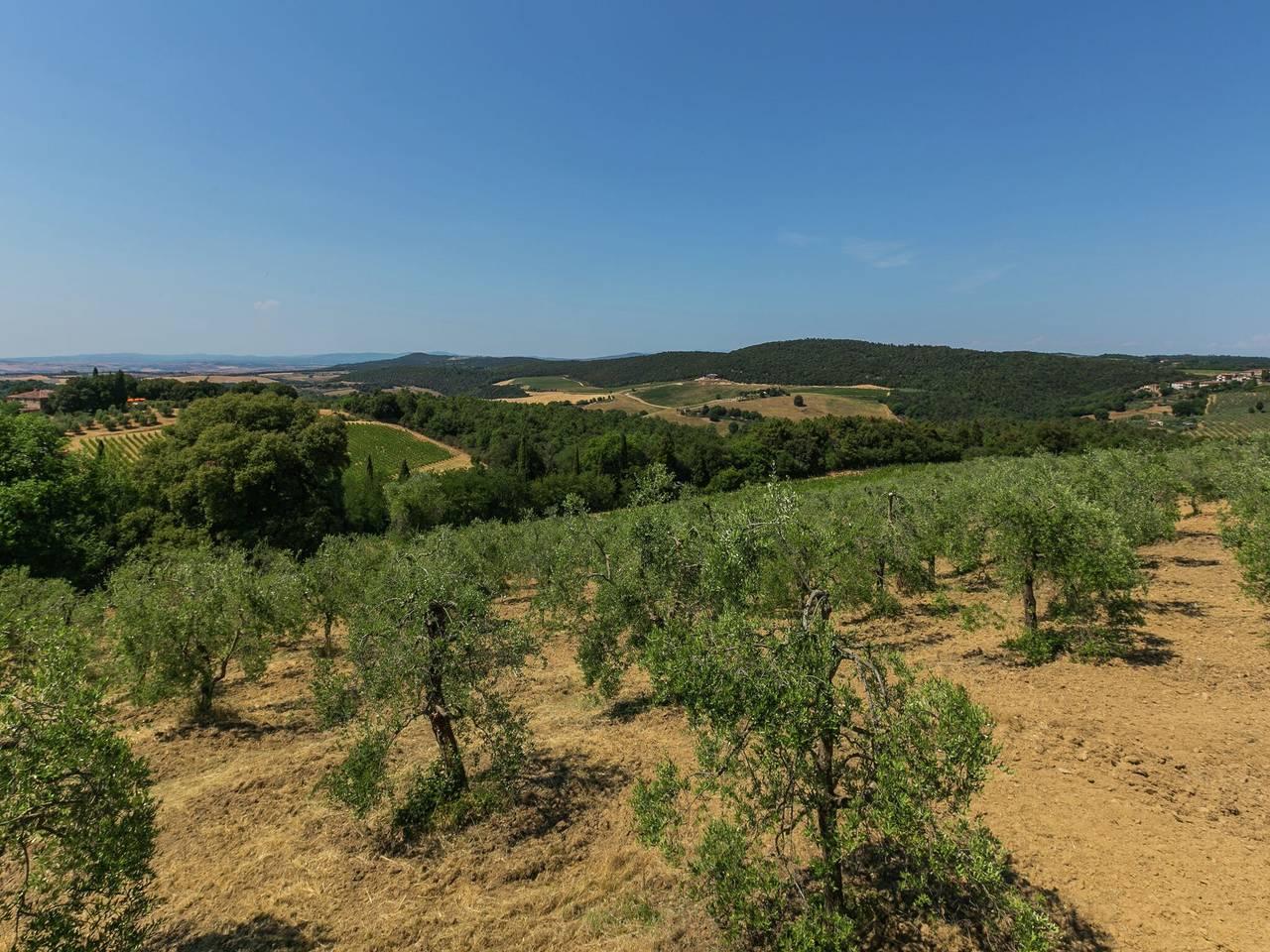Vakantiehuis in Trequanda, Italië voor 10 personen foto 10
