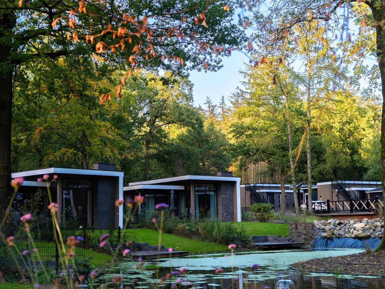 Stijlvolle Familiebungalow Hoenderloo in Veluwe, Nederland voor 6 personen foto 22