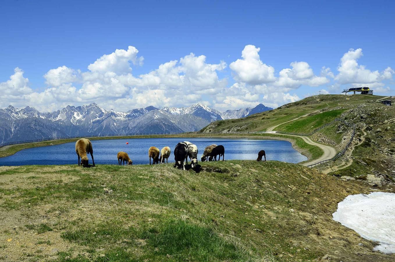 Vakantieappartement in Pitztal, Oostenrijk voor 5 personen foto 9