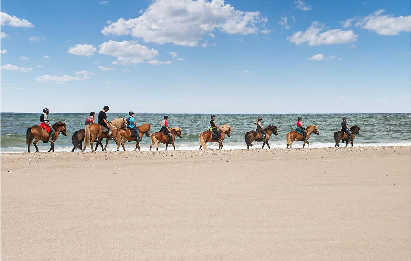 Vakantiehuis met terras en 35 m², 2 slaapkamers en binnenzwembad in Noordzee Denemarken, Denemarken voor 6 personen foto 19