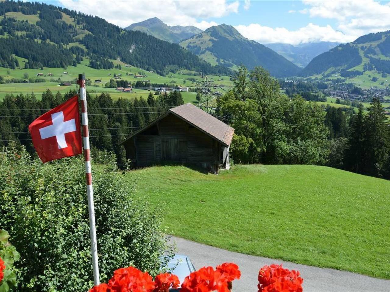 Vakantieappartement in Saanen, Zwitserland voor 5 personen foto 4