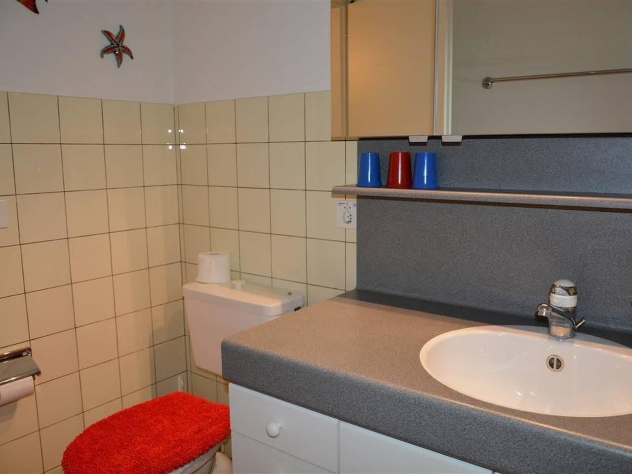 Vakantieappartement in Saanen, Zwitserland voor 8 personen foto 16