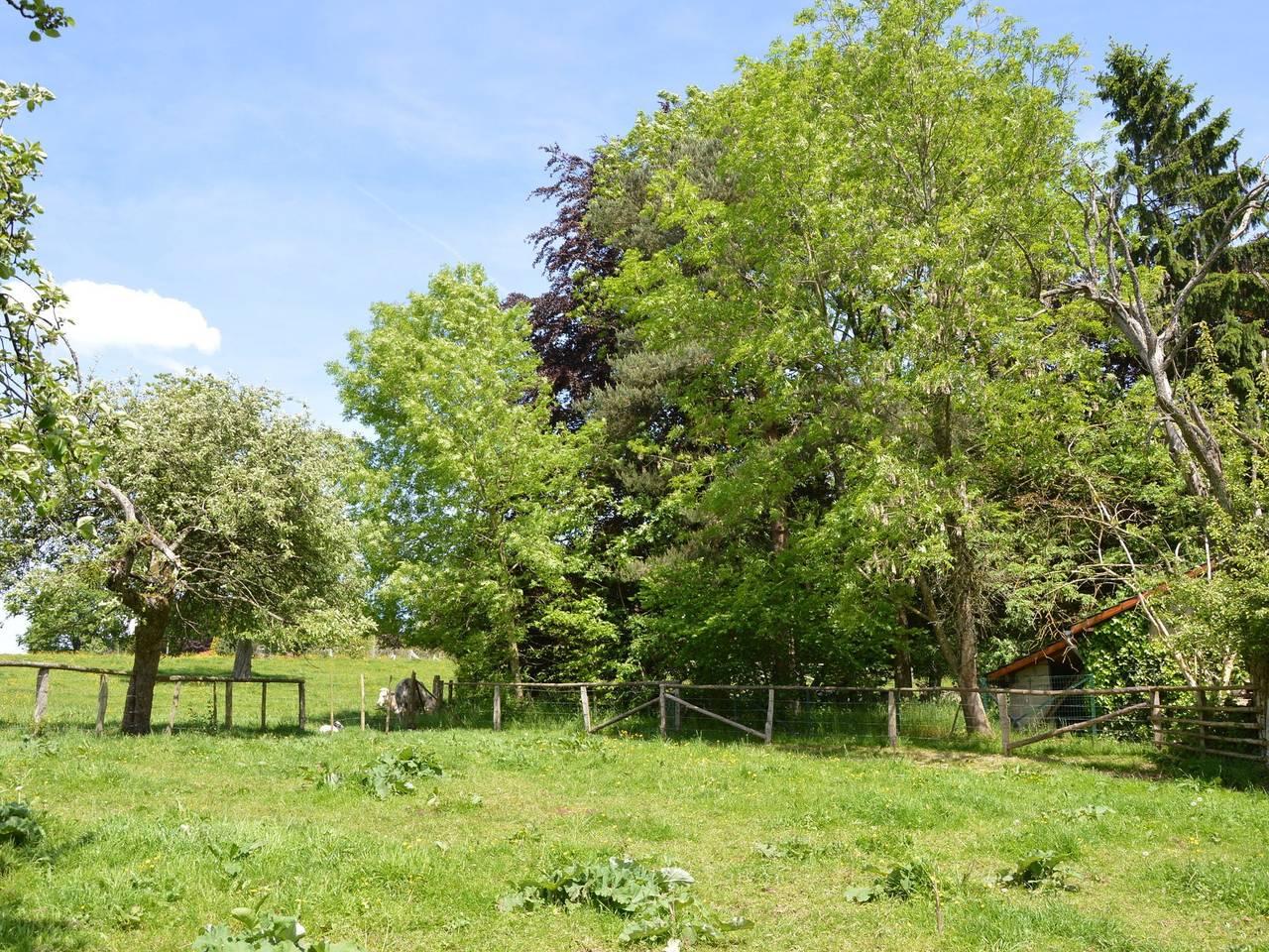 Familievilla in Ferrières in Ferrières (Luik), België voor 9 personen foto 23
