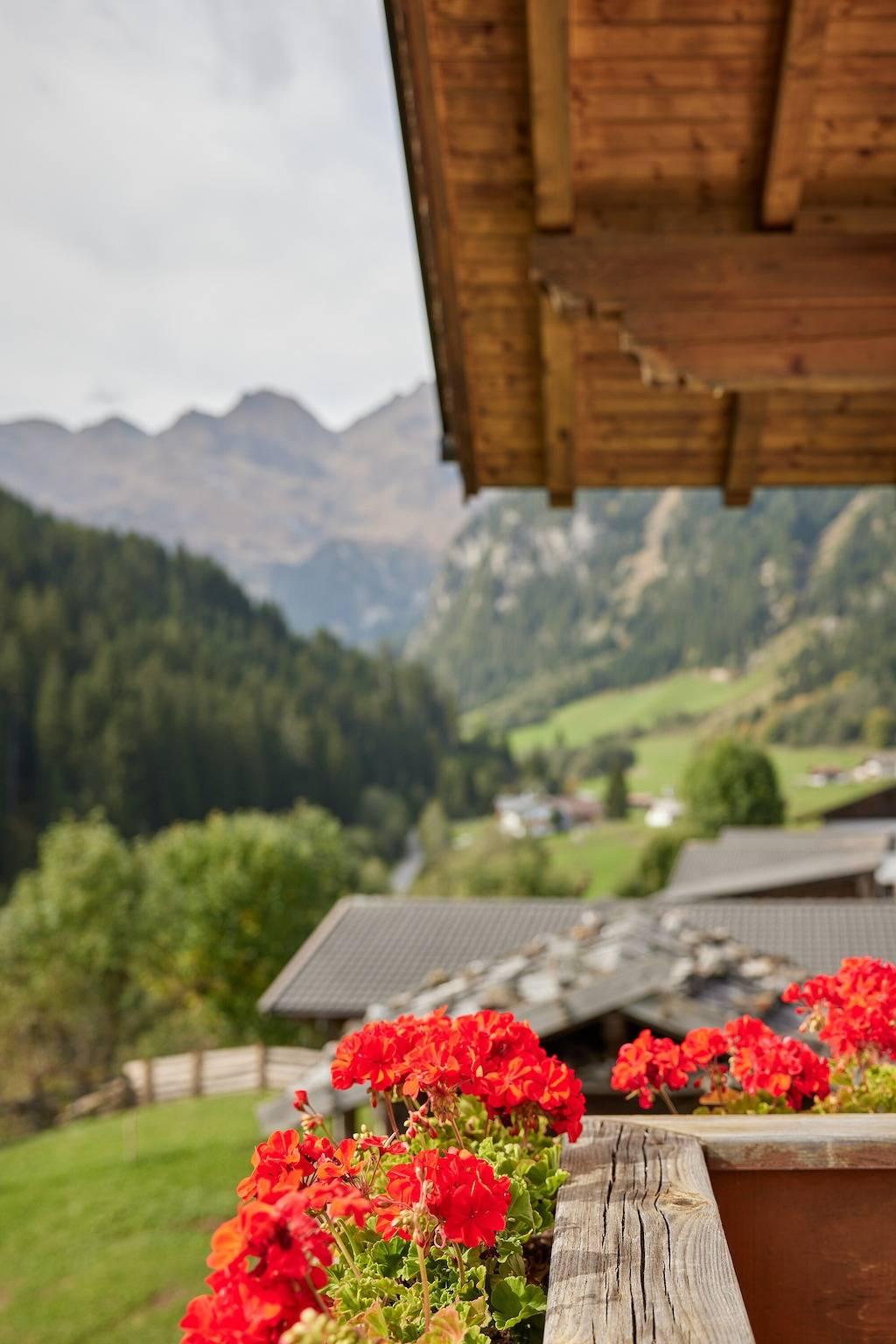 Vakantieappartement in Wipptal, Italië voor 4 personen foto 12