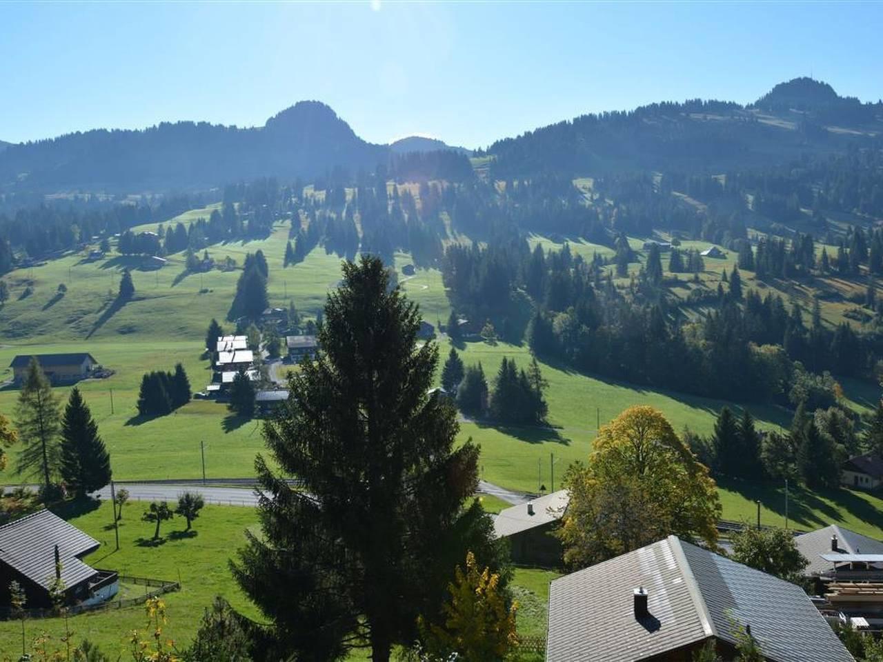 Vakantieappartement in Saanen, Zwitserland voor 9 personen foto 8