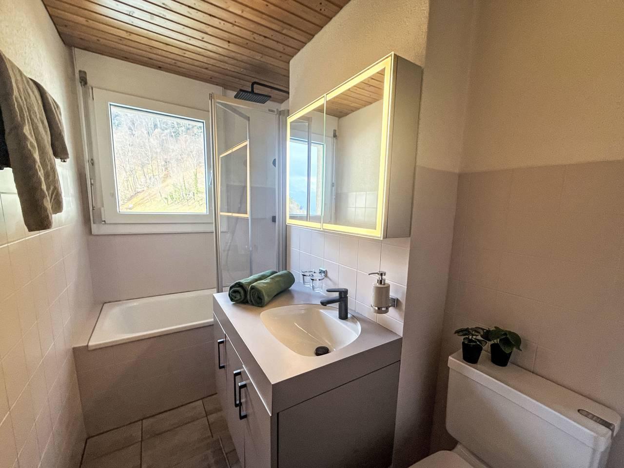 Vakantieappartement in Gersau, Zwitserland voor 2 personen foto 8
