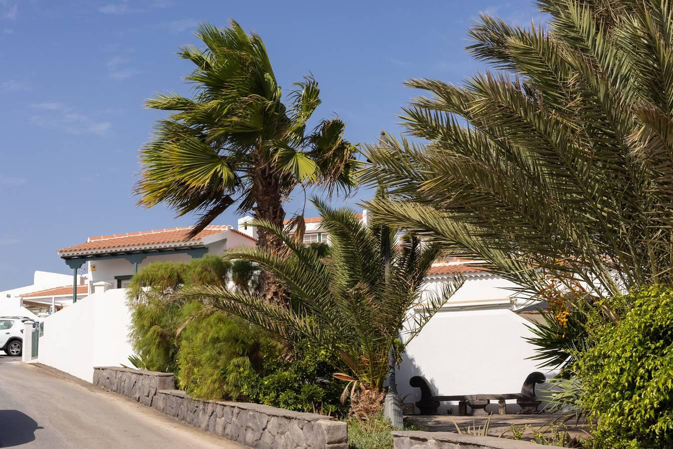 Vakantiehuis met zeezicht in Abades, Arico, Spanje voor 3 personen foto 23