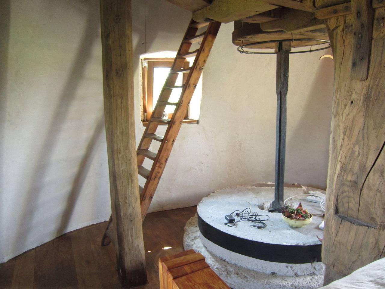 Windmolen in Horebeke, Oost-Vlaanderen, België voor 5 personen foto 19