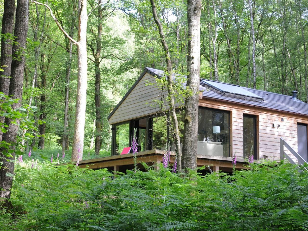 Vakantiehuis in Viroinval, België voor 4 personen foto 5