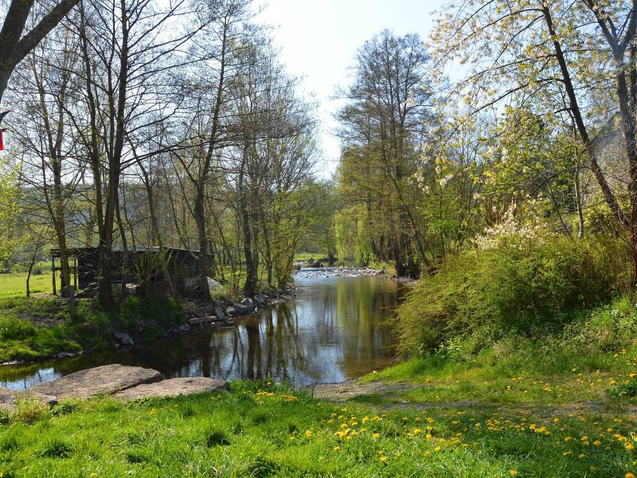 Vakantiehuis met sauna en hond toegestaan in Houyet, België voor 9 personen foto 21