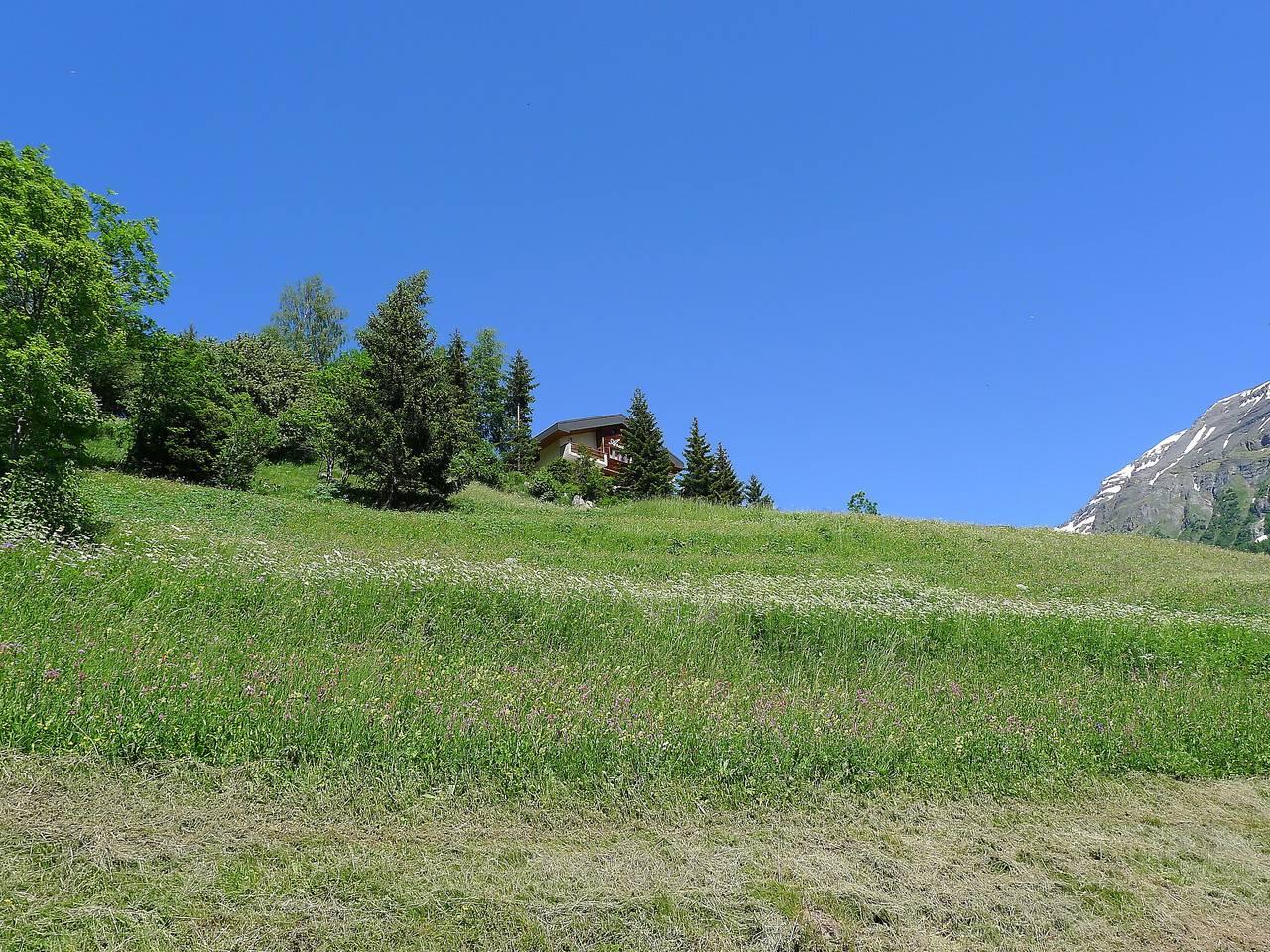 Vakantieappartement met hond toegestaan in Leukerbad, Wallis, Zwitserland voor 2 personen foto 13