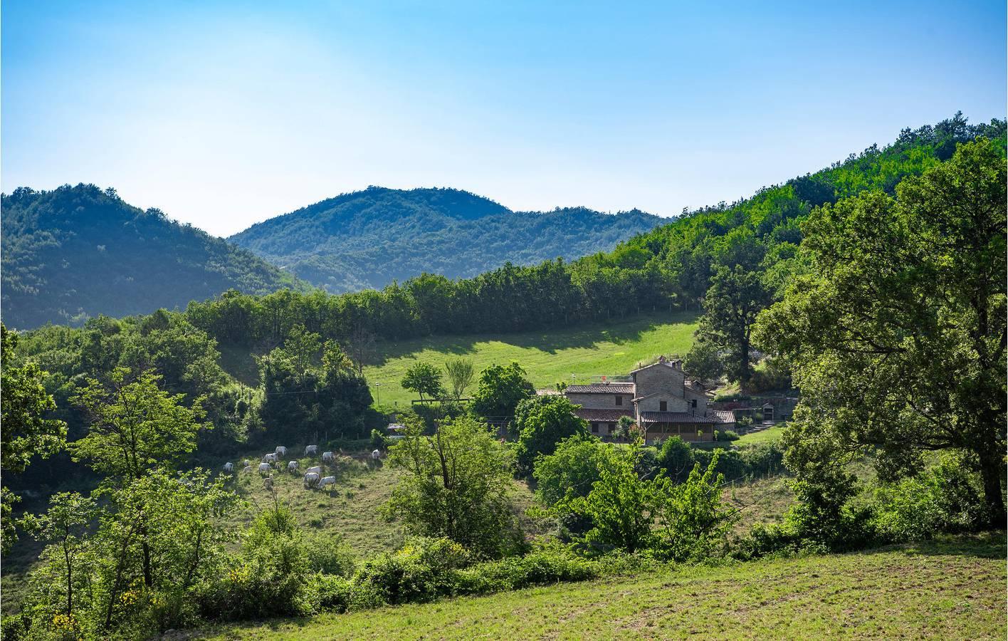 Vakantieappartement in Valtiberina, Italië voor 4 personen foto 10