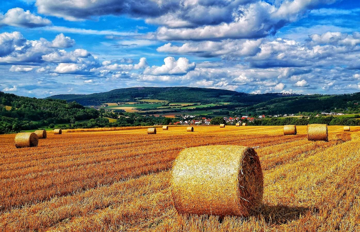 Vakantieappartement in Rhön, Duitsland voor 3 personen foto 15