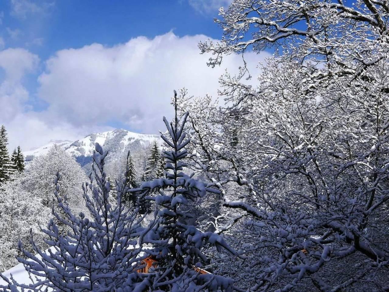 Vakantieappartement in Saanen, Zwitserland voor 9 personen foto 17
